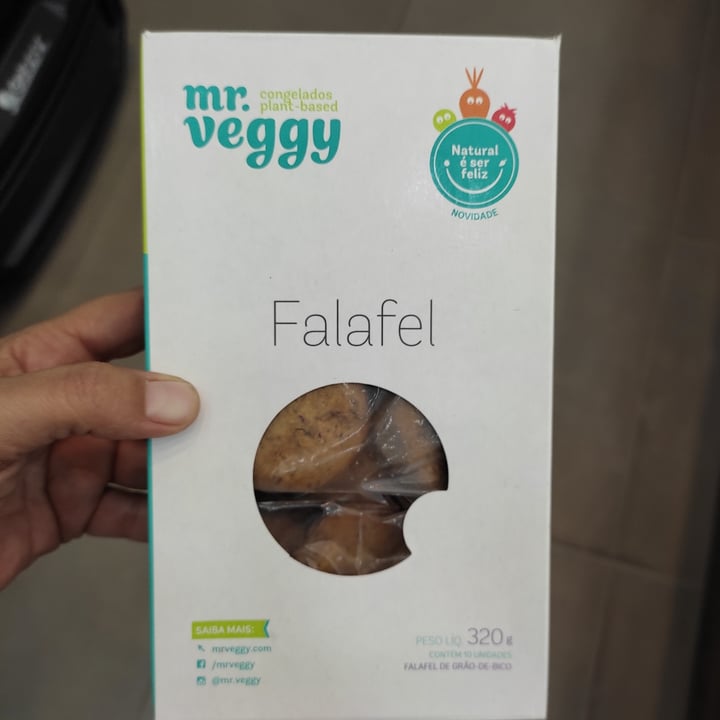 photo of mr. veggy Falafel shared by @driks on  10 May 2022 - review