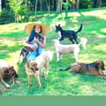 nicolerotgans @nicolerotgans profile image