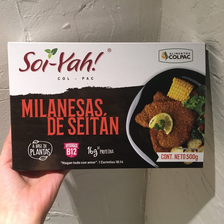 photo of Soi-yah! bistec de seitan shared by @dafrosae on  19 Apr 2021 - review