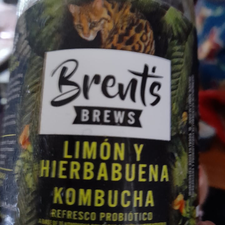 photo of Brent’s Brews Kombucha shared by @v3g4thenaimals on  23 Jul 2021 - review