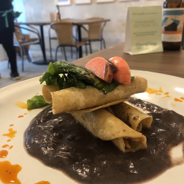 review photo of Calabacitas Tiernas Bistro Flautitas De No-pollo shared by @iphillgood on 08 Dec 2019 - review