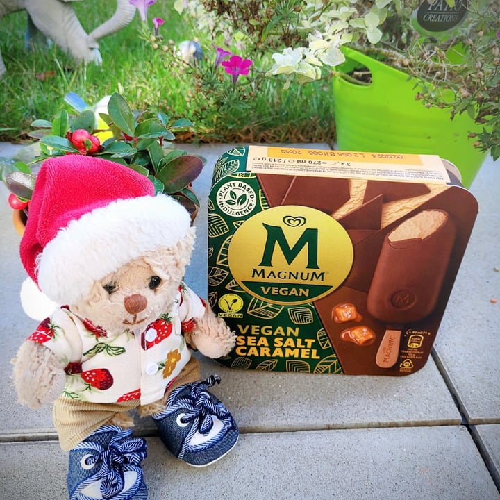 photo of Magnum Dairy Free Sea Salt Caramel shared by @bubi-the-bear on  23 Oct 2022 - review