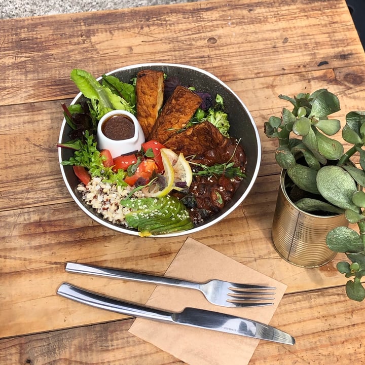 review photo of Coogee Refill Protein Bowl shared by @celinelinesse on 25 Jan 2021 - review