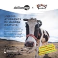 salcastillo @salcastillo profile image