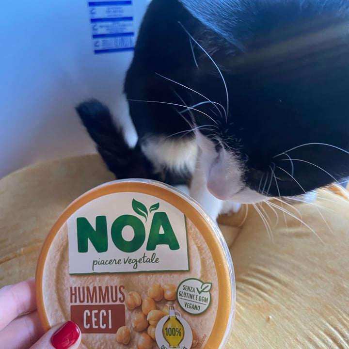 photo of Noa Hummus ceci shared by @valeeeematteiiii04 on  14 Nov 2022 - review