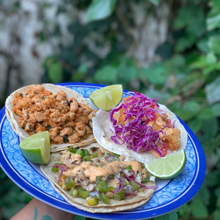 photo of Aguachiles Veg trio de tacos shared by @scarlettvegana on  10 May 2022 - review