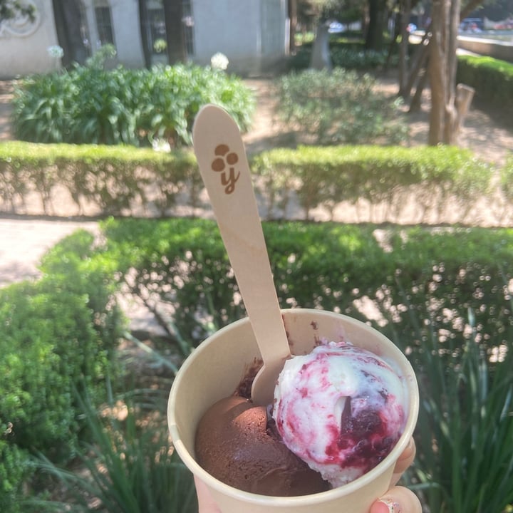 photo of Beyond Sugar helado chico shared by @ilse on  26 Apr 2022 - review