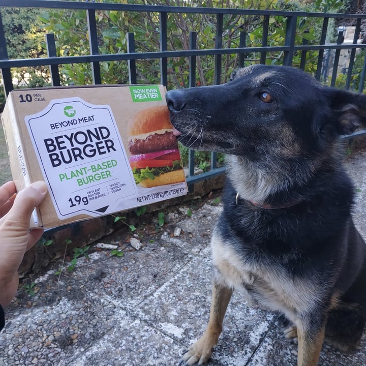 photo of Beyond Meat Beyond Burger Plant-Based Patties shared by @runa on  08 Nov 2021 - review