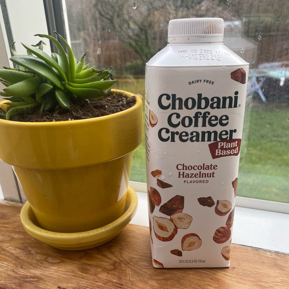 Chobani Chocolate Hazelnut Coffee Creamer Reviews abillion