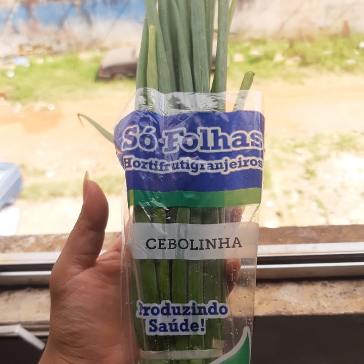 review photo of só folhas Cebolinha shared by @kamilladias on 03 May 2022 - review