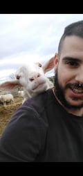 robertosauvage @robertosauvage profile image