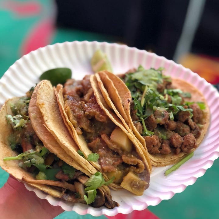 photo of Veganísimo Loncheria Vegana Tacos Orden De 3 shared by @jou269 on  22 Mar 2021 - review