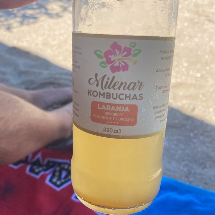 photo of Milenar Kombucha de Maçã shared by @mendesjuliana1975 on  17 Jun 2022 - review