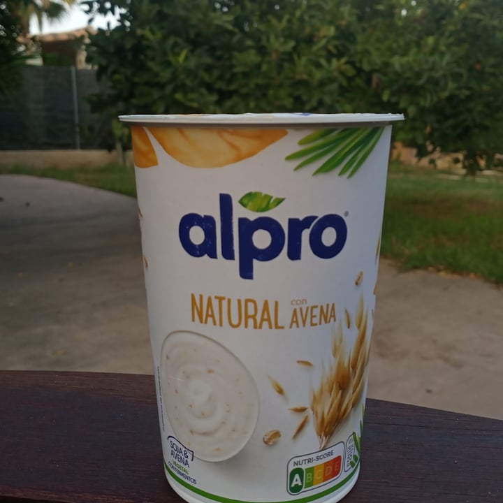 photo of Alpro Yogurt Natural con Avena shared by @titoherbito on  27 Oct 2021 - review