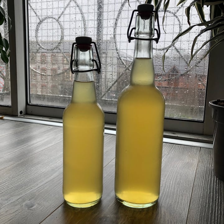 review photo of My Goodness Kombucha Kombucha shared by @klac12 on 01 Apr 2021 - review