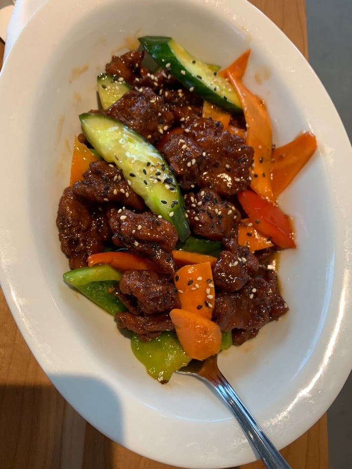 photo of Padmanadi Vegetarian Restaurant General Tao Chicken shared by @veganmegandl on  02 Feb 2020 - review
