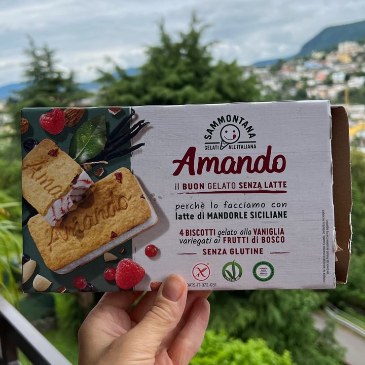 photo of Sammontana Biscotto gelato con frutti di bosco shared by @ele73 on  25 May 2022 - review