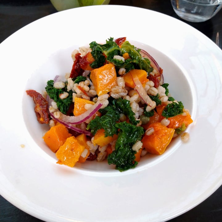 photo of Victoria and Albert Members Room butternut squash and barley salad shared by @andala on  08 Nov 2022 - review