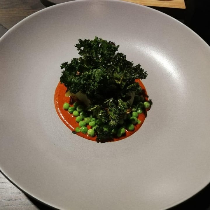 photo of Janse & Co Vegan Kale And Cauliflower shared by @saigepeters on  01 Jun 2020 - review