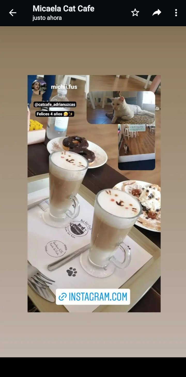 photo of Adrianuzca´s Cat Café Capuchino vegano shared by @francotran1980 on  13 Jan 2022 - review