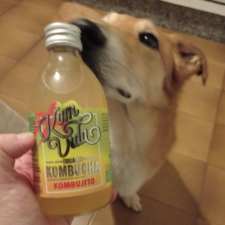 photo of KomVida Kombucha Kombucha Kombujito shared by @desdeees on  27 Jan 2021 - review