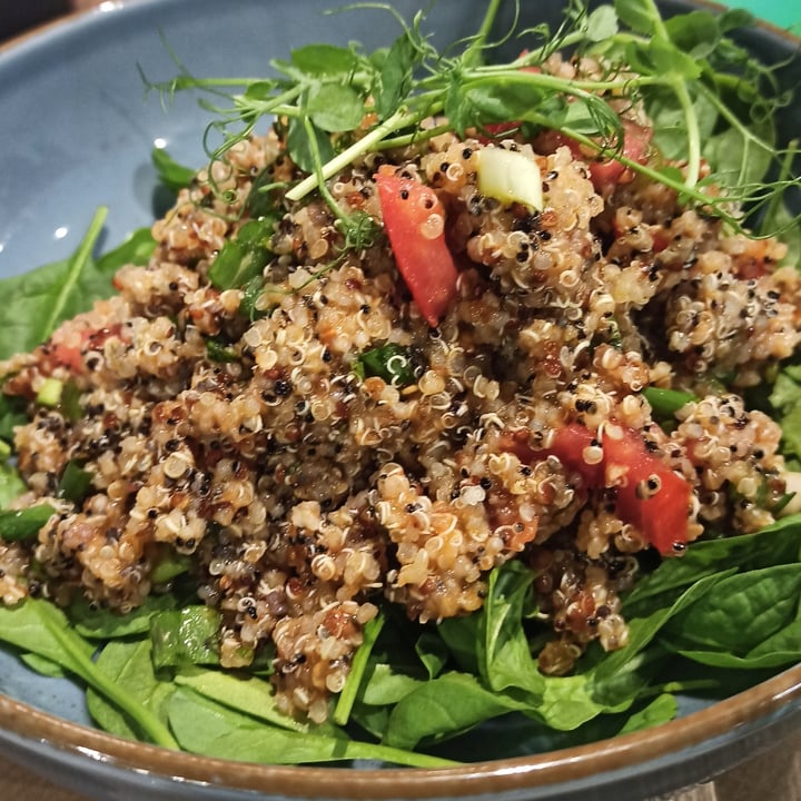 photo of Athens Vegan Burgers Quinoa Salad shared by @annamiou on  27 Aug 2022 - review