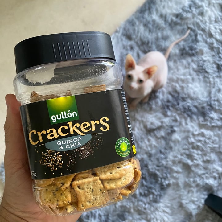 photo of Gullón Crackers de chia y quinoa shared by @aarontorres on  08 Dec 2020 - review