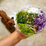 Pacifico Poke