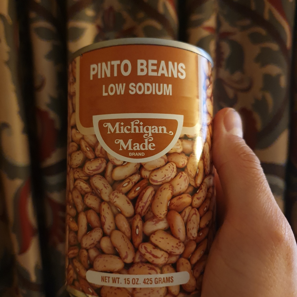 Michigan Made Pinto Beans Reviews abillion