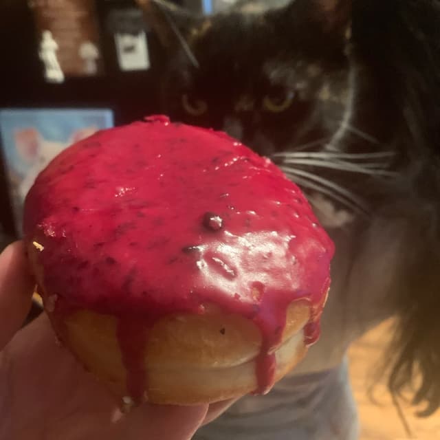 「blueberry cheesecake donut」の料理の写真