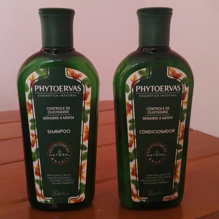 photo of Phytoervas Condicionador de Gengibre e Menta shared by @shantifranca on  11 May 2022 - review