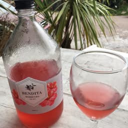 Bendita kombucha