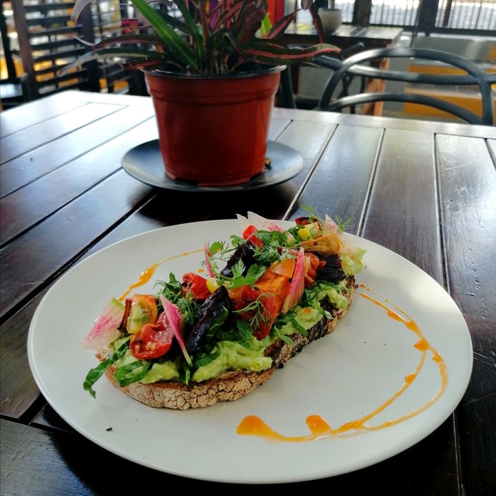 photo of Raíces de mar Avocado Vegan Toast shared by @sheila67 on  24 Apr 2021 - review