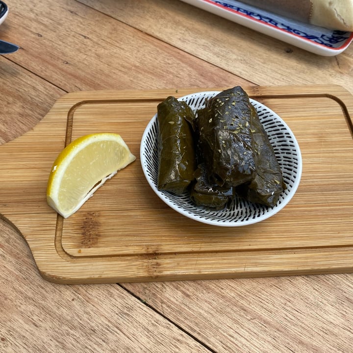 photo of Orexi Greek Street Food - Benoni dolmades shared by @bronwynpaige on  17 Nov 2022 - review