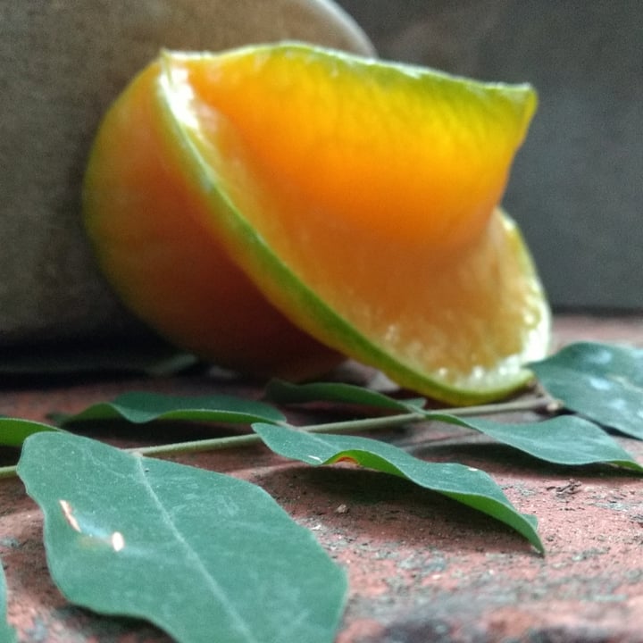 review photo of Carambola o Fruta estrella Carambola shared by @yamamoto on 18 May 2022 - review