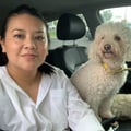 miriampef @miriampef profile image