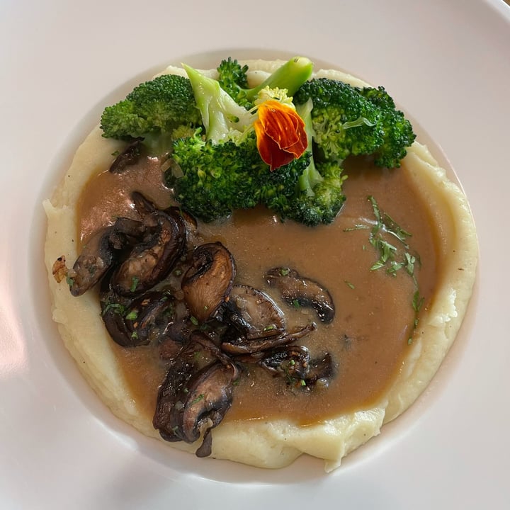 review photo of Plant Cafe Mashed potatoes shared by @passportvegan on 10 Jan 2022 - review