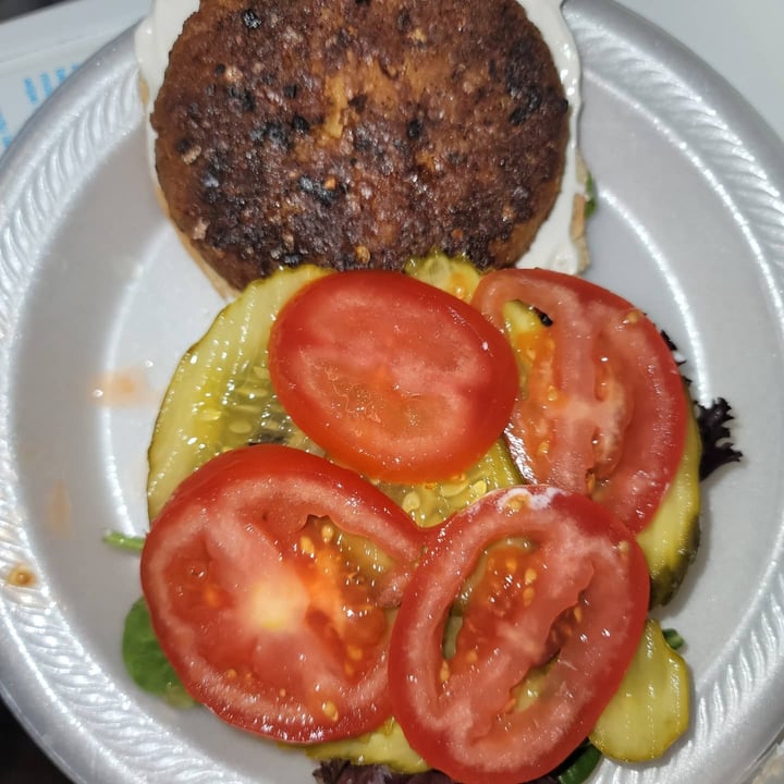 photo of Dr. Praeger's Perfect Turk'y burger shared by @tipthequeen on  15 Jul 2021 - review