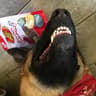 Jelly belly