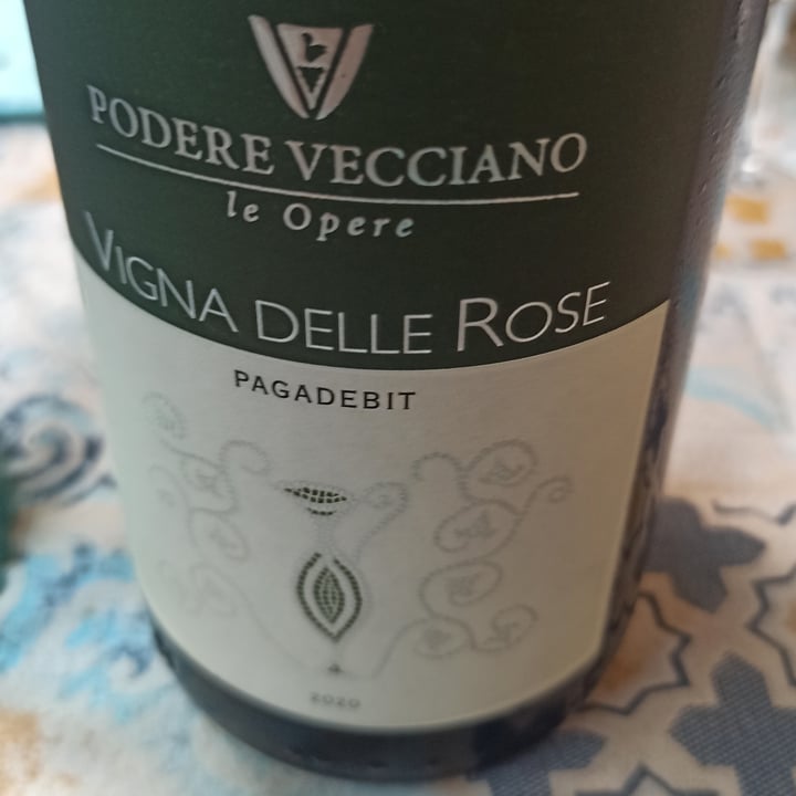 photo of Vigna delle Rose Vino Bianco "Pagadebiti" shared by @gabry78 on  25 Oct 2021 - review