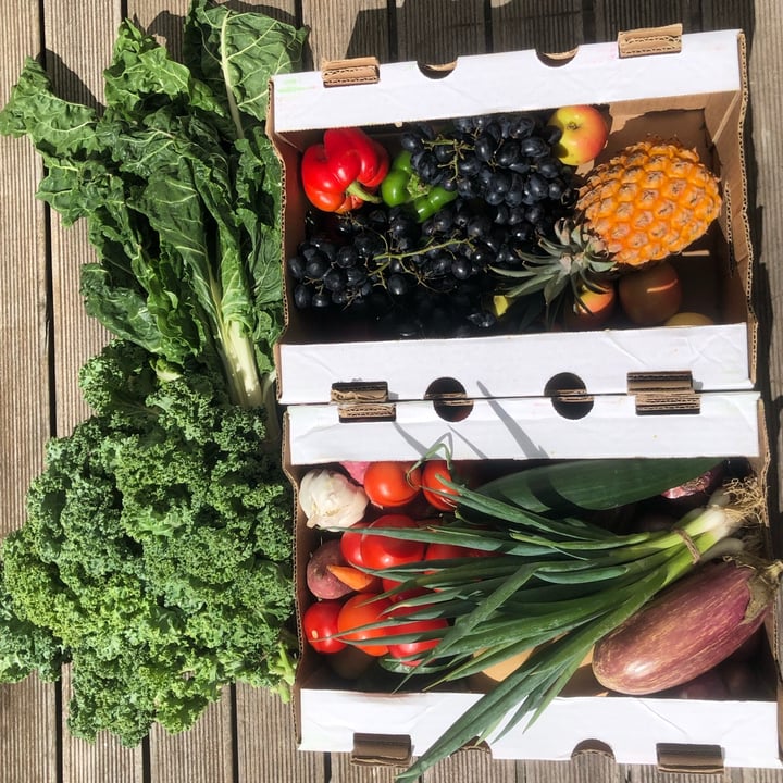 review photo of Lippy’s Food BIGBOX shared by @ellaaaa on 12 Feb 2022 - review