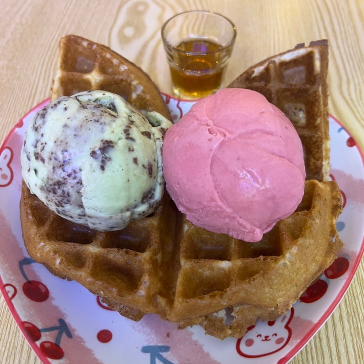 photo of Heartbreak Melts Ice Cream Cafe Waffles with 2 scoop of ice cream shared by @vegan-ravana on  19 Jul 2022 - review