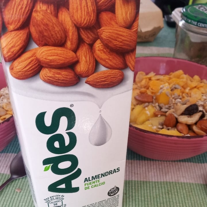 photo of Ades Leche de Almendras sabor Natural shared by @pazliv on  08 Apr 2021 - review