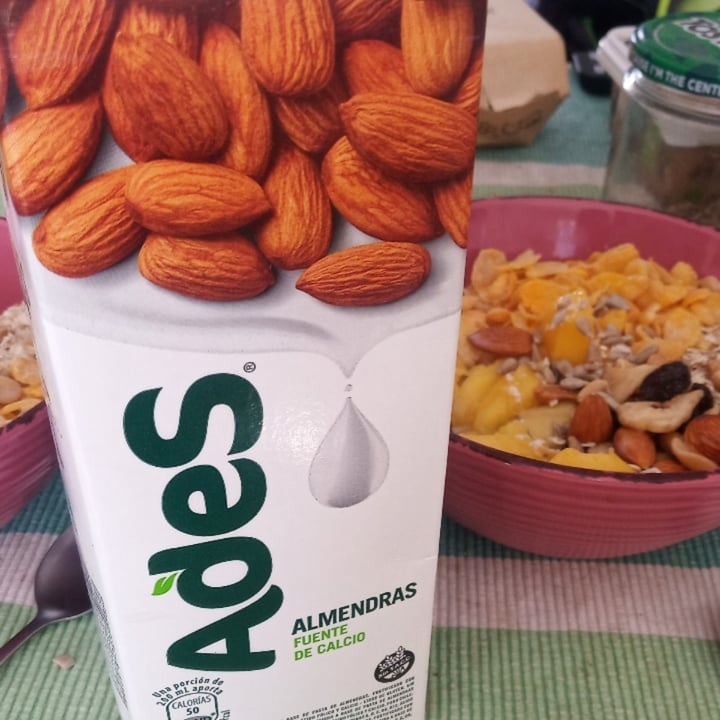review photo of Ades Leche de Almendras sabor Natural shared by @pazliv on 08 Apr 2021 - review