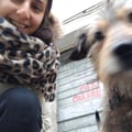 @saramo profile image