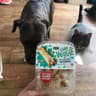 Jumbo (Supermarkten)