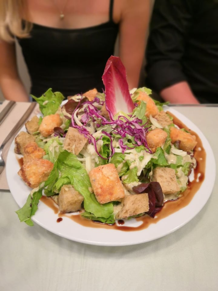 photo of Organi Chiado Tofu Ceasar Salad shared by @kaitokiuchi on  29 Jun 2019 - review
