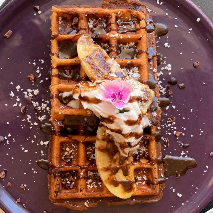 photo of Lexi's Healthy Eatery Choc Chip Protein Waffles shared by @ctveganreviews on  17 Feb 2021 - review