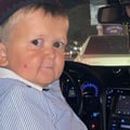 @sandiinfant3 profile image