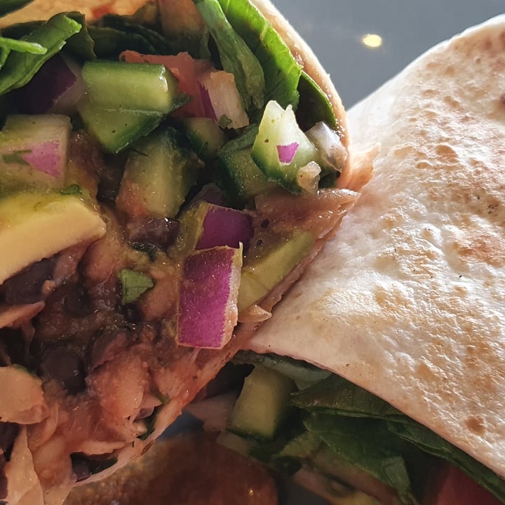 review photo of Milkwood Deli Amigo Wrap shared by @laurenkinghorn on 03 Sep 2021 - review